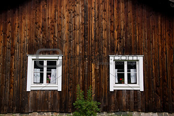 Wooden house facade