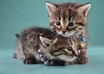 little kittens with small metal jingle bells beads