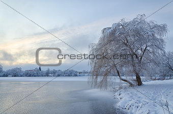 Winter landscape with lake and tree in the frost