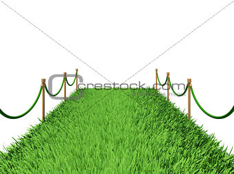 Path of green grass