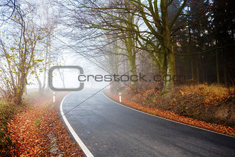 Road going in to the fog 
