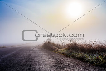rural foggy road going to the sunrise