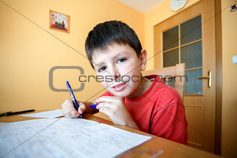 boy doing school homework