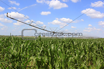irrigation system for agriculture