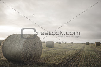 Landscape with bales of straw