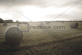 Bright landscape with bales of straw