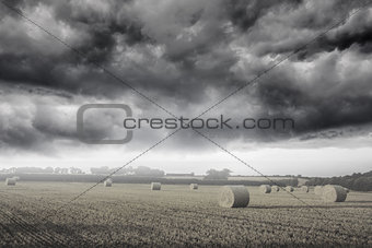 Misty landscape with bales of straw