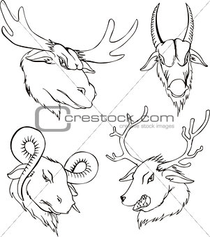 Aggressive heads of deers and goats