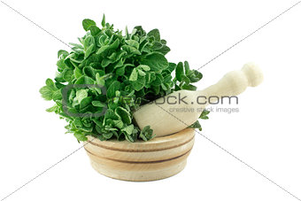 Mortar with fresh thyme herb