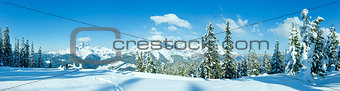 Winter mountain panorama with snowy trees (Filzmoos, Austria)