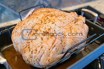 Seasoned Uncooked Turkey in Roasting Pan Closeup