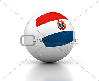 Paraguayan Volleyball Team