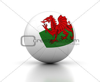 Welsh Volleyball Team