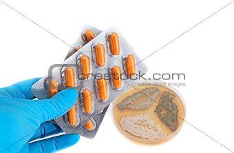 medical pills and fungi on agar plate