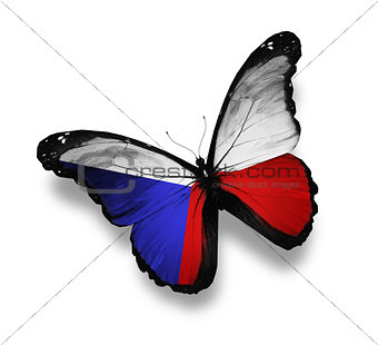 Czech flag butterfly, isolated on white