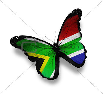 South African flag butterfly, isolated on white