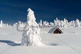 Snowy Plain with a Snowbound Hut