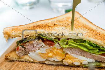 Sandwich with chicken, cheese and golden French fries