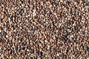 Black cardamom (or cardamon) seeds