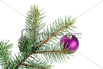 Violet ball on the Christmas tree