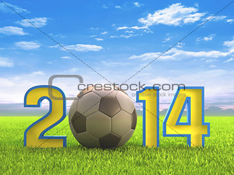 Football 2014