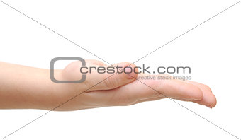 hands of the child isolated on the white background. 