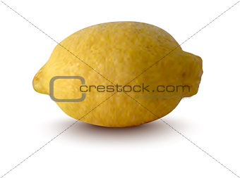 vector illustration of lemon