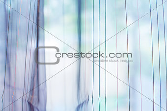 Transparent curtain on window