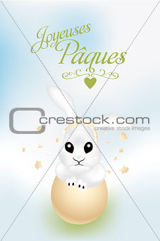 French Easter card with cute bunny in broken egg shell