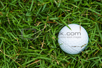 Golf ball on the green grass