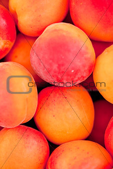 fresh orange red apricots peaches macro closeup on market