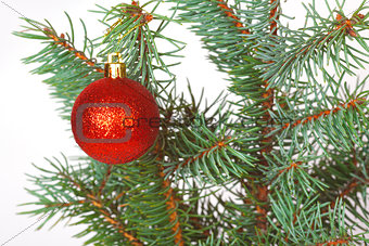 Red ball on the Christmas tree