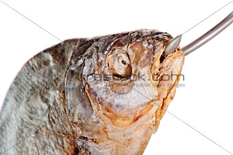 head of salted fish with a hook in his mouth on a white background