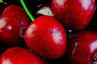 many goschnoy ripe cherries macro