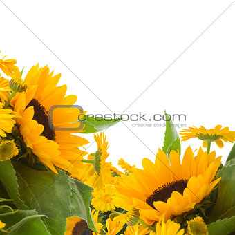 sunflowers and calendula flowers
