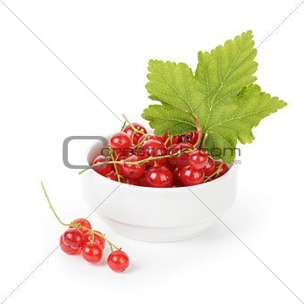 fresh red currant in porcelain bowl