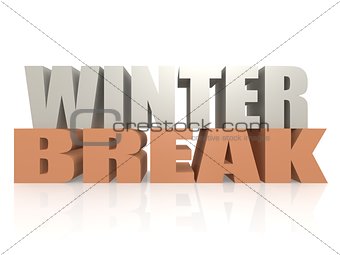 Winter break