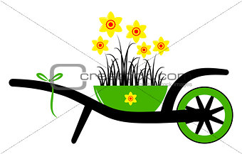 wheel barrow and daffodils