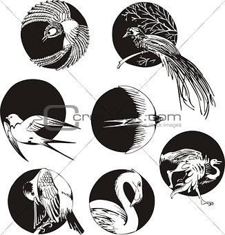 round designs with birds
