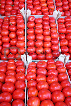 Organic tomatoes on display at bazaar