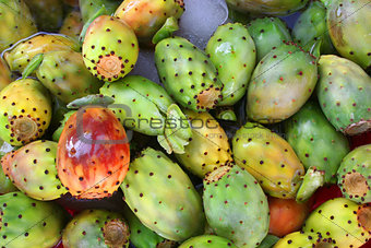 Tropical delicious cactus fruit as background