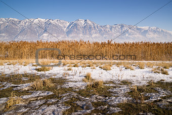 Snow Covered Mountains Behind Lakeside Highway PLant Growth Utah