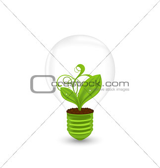 Bulb with plant inside isolated on white background