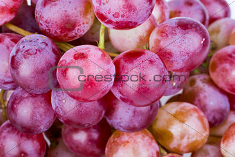 Bunch of red grape on white background