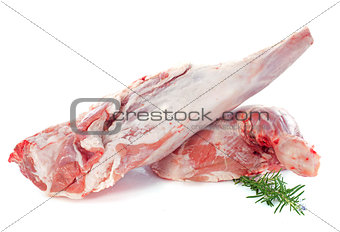 leg and shoulder of lamb