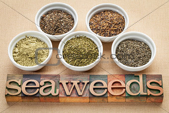 seaweeds - diet supplements