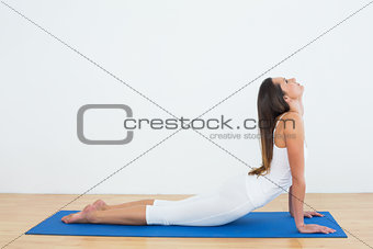 Fit woman doing the cobra pose in fitness studio