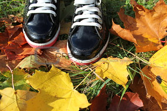Autumn background- boots and leaves