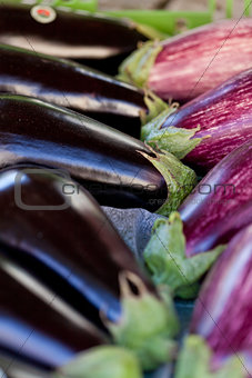 fresh violet eggplant in summer outdoor on market 