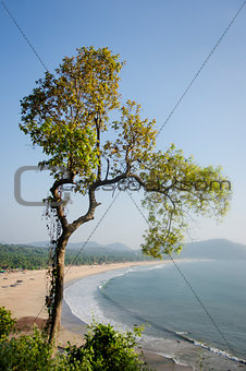 A tree overlooking one of Goa’s beautiful and yet not much explored sand beachesnal wooden boat